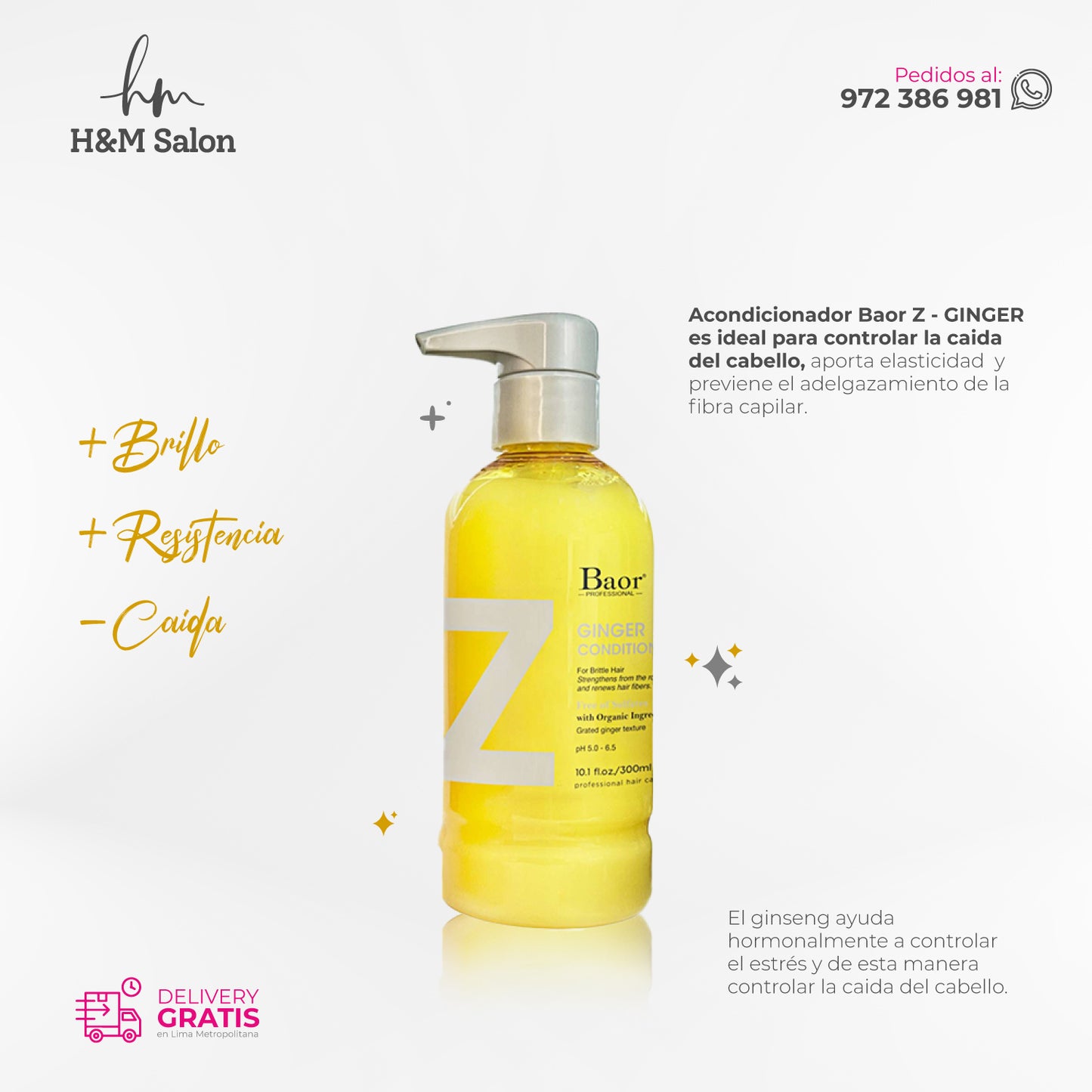 BAOR Z - DUO GINGER