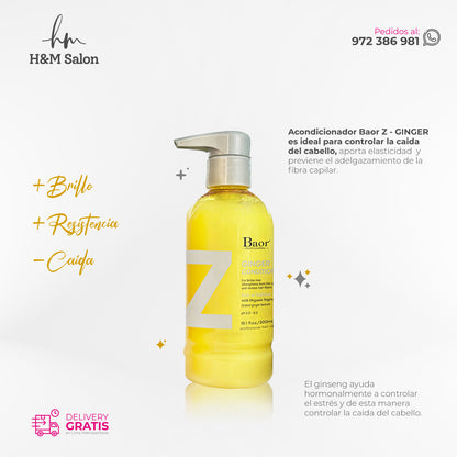 BAOR Z - DUO GINGER