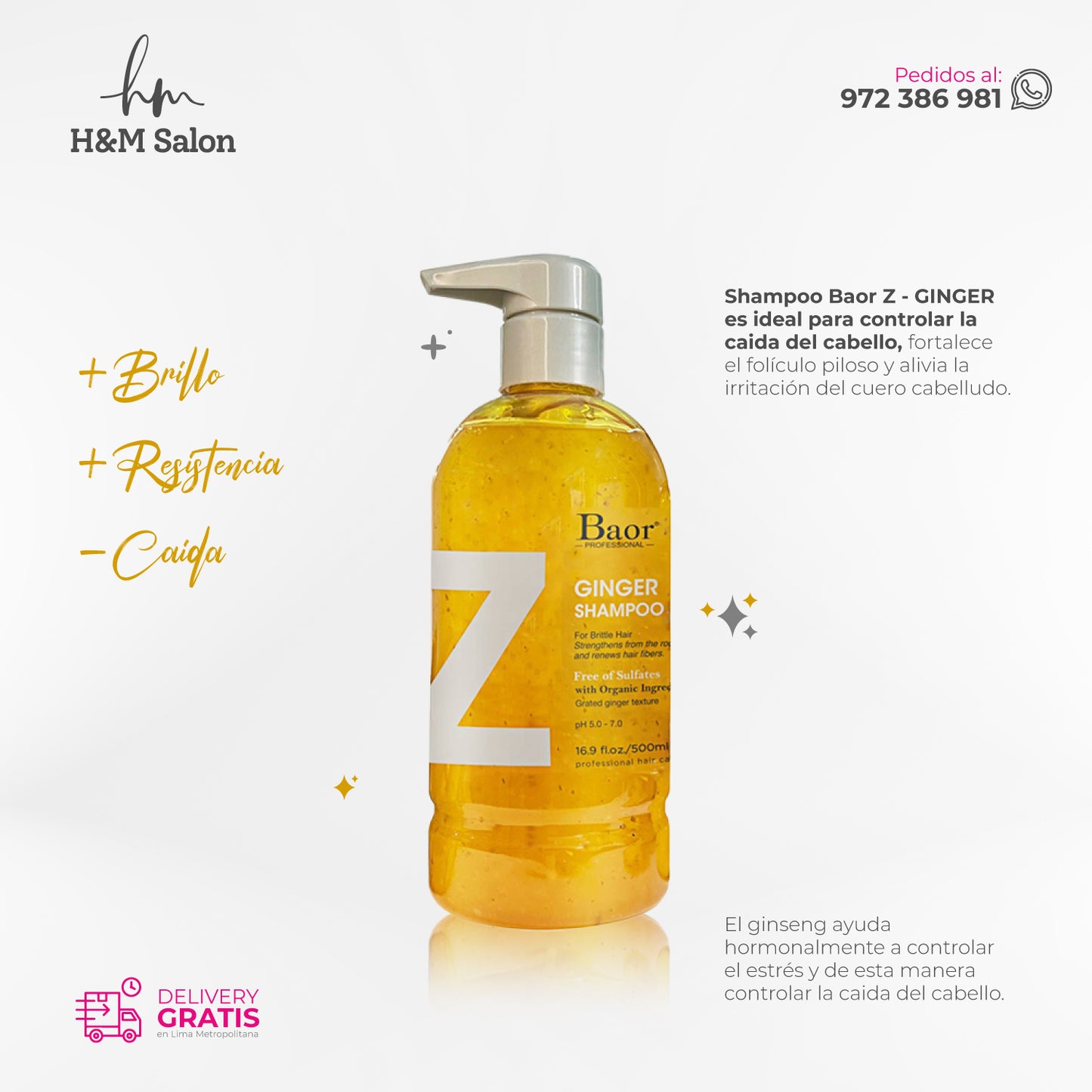 BAOR Z - GINGER Shampoo 500 ml
