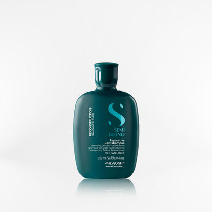ALFAPARF SEMI DI LINO - Reconstruction shampoo 250 ml