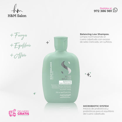 ALFAPARF SEMI DI LINO - Scalp Duo Balancing shampoo + energizing tonic