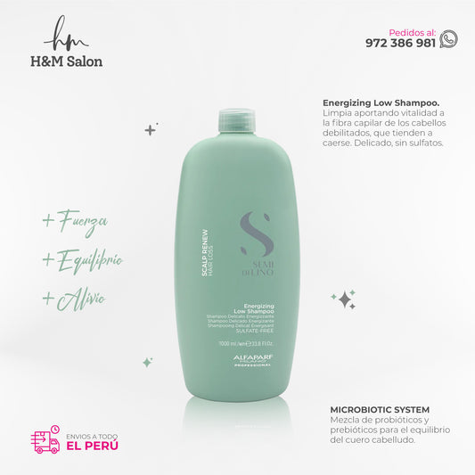 ALFAPARF SEMI DI LINO - Scalp Energizing shampoo 1000 ml