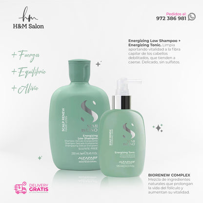 ALFAPARF SEMI DI LINO - Scalp Duo Energizing shampoo + energizing tonic